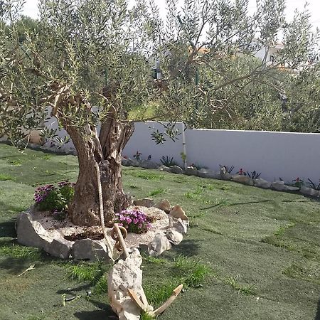 Holiday Home Gabi Rogoznica  Εξωτερικό φωτογραφία